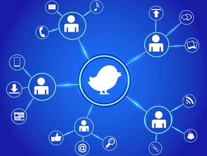 在樹莓派上安裝 Mosquitto 搭建 MQTT 網(wǎng)絡(luò)文化經(jīng)營平臺